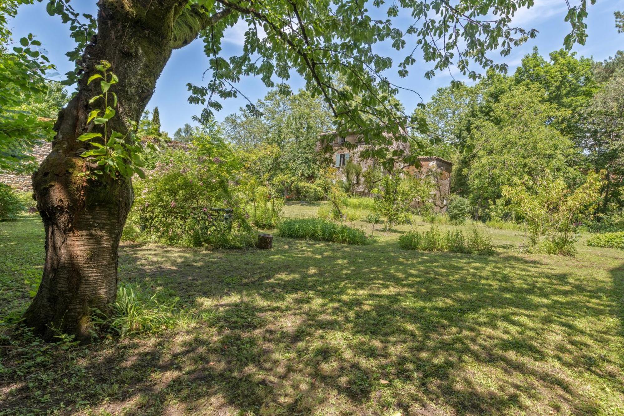 Les Suites De L'Ile Barbe Лион Екстериор снимка